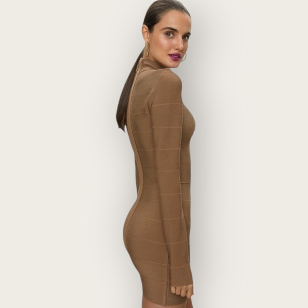 Aritzia Long Sleeve Bodycon Knit Dress in Brown